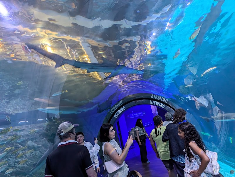 Adventure Aquarium - Event Venue in Camden, New Jersey
