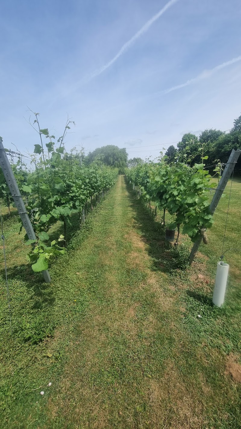 Stonepit Vineyard - Event Venue in Olney, Milton Keynes