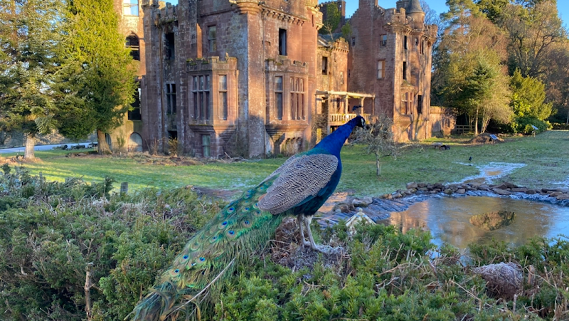 Culdees Castle Estate - Event Venue in Muthill, Perth and Kinross