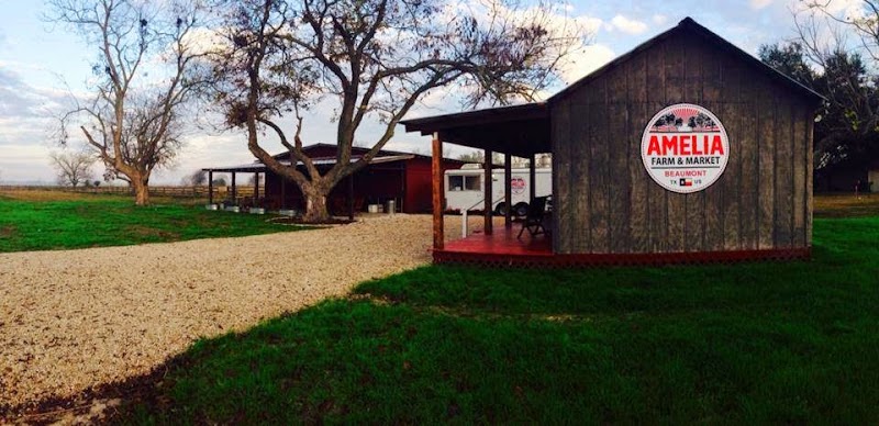 Amelia Farm and Market - Event Venue in Beaumont, Texas