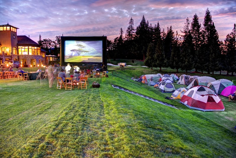 Fun Flicks Outdoor Movies - Event Venue in Metairie, Louisiana