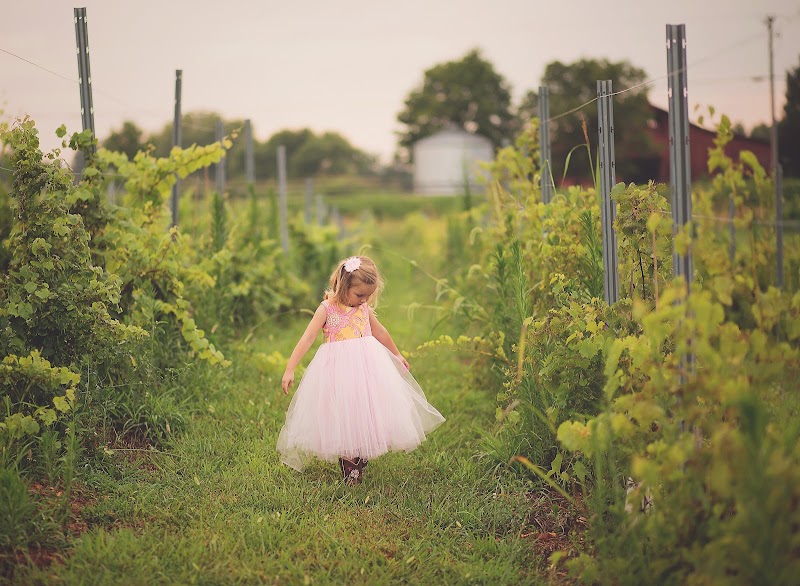 Bluegrass Vineyard - Event Venue in Smiths Grove, Kentucky