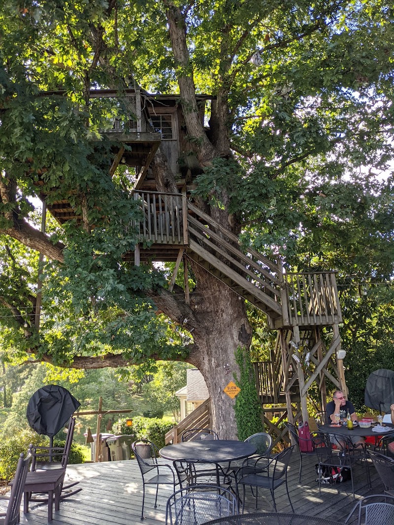 Treehouse Vineyards - Event Venue in Monroe, North Carolina