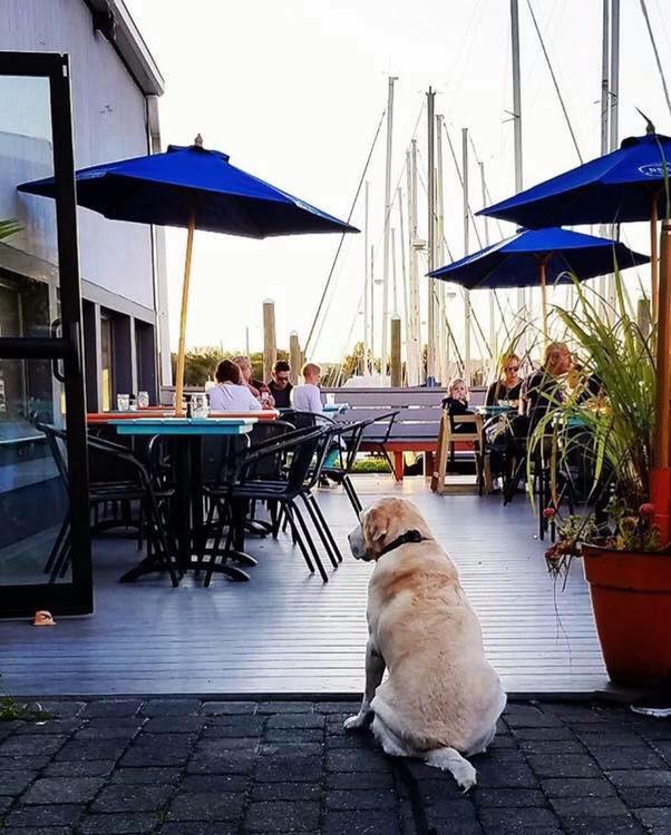 The Gulf Stream Bar and Grille - Event Venue in Portsmouth, Rhode Island