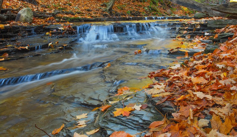 Springwater Center - Event Venue in Springwater, New York