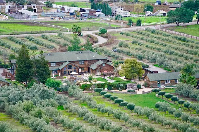 The Purple Orchid Wine Country Resort And Spa - Event Venue in Livermore, California