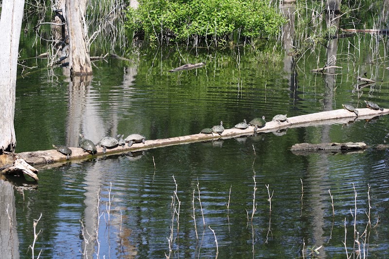Heard Natural Science Museum & Wildlife Sanctuary - Event Venue in McKinney, Texas