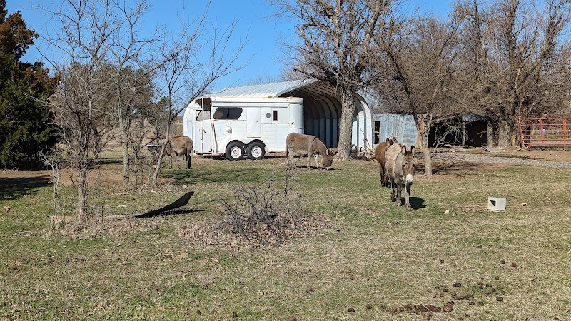 Tiny Cabin at the DonkeyRanch - Event Venue in Lawton, Oklahoma