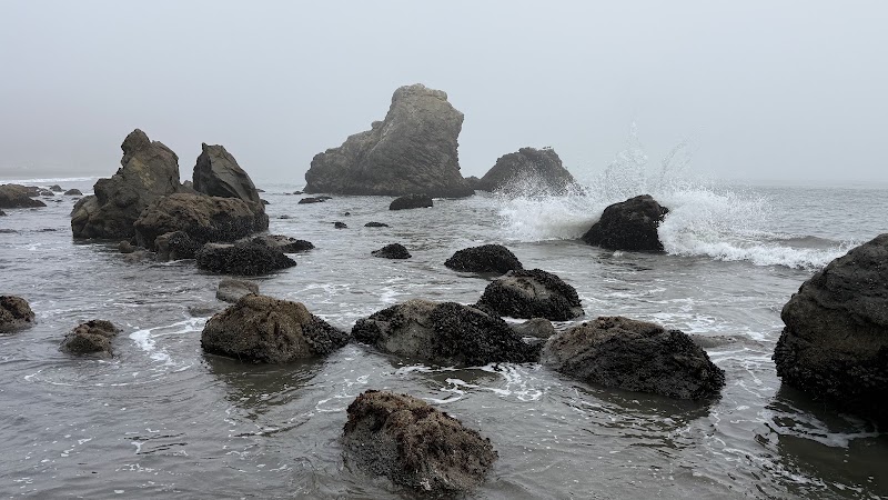 Garden Retreat - Event Venue in Muir Beach, California