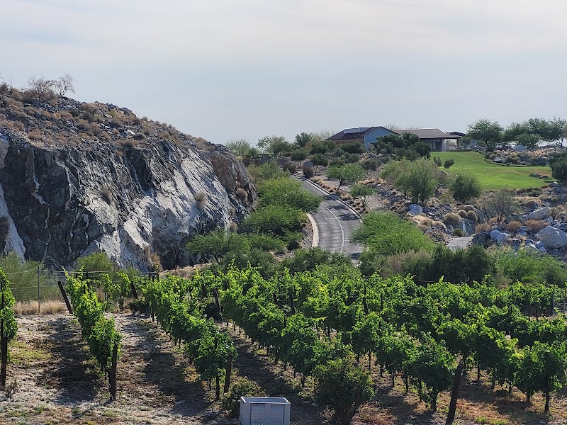 The Vineyard at Victory at Verrado - Event Venue in Buckeye, Arizona