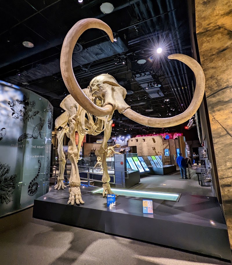 Nevada State Museum, Las Vegas - Event Venue in Las Vegas, Nevada
