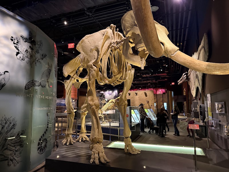 Nevada State Museum, Las Vegas - Event Venue in Las Vegas, Nevada