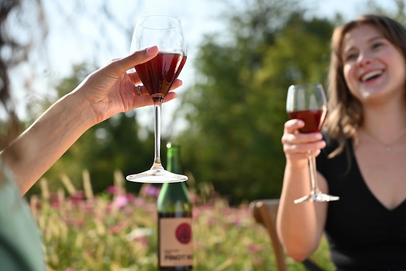 The Rejoicing Vine Winery - Event Venue in Indianapolis, Indiana