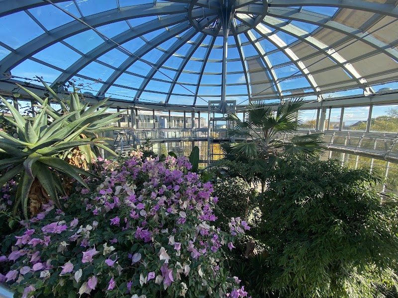 Sunderland Museum, Winter Gardens - Event Venue in Sunderland, Tyne and Wear