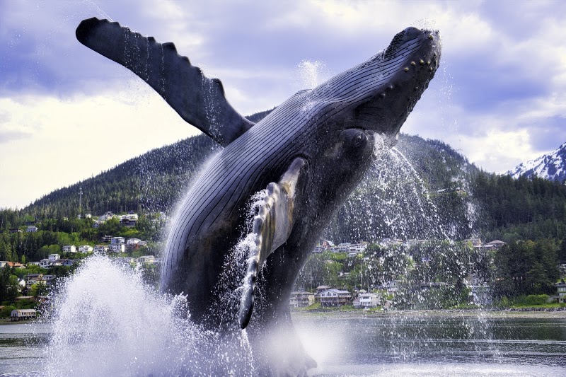 Juneau Hotel - Event Venue in Juneau, Alaska