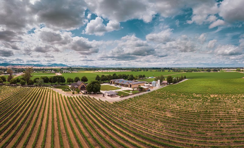 Campos Family Vineyards - Event Venue in Byron, California
