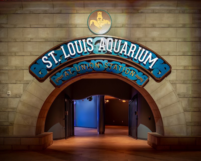 St. Louis Aquarium at Union Station - Event Venue in St. Louis, Missouri
