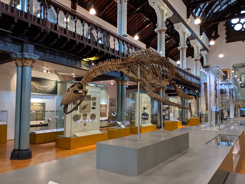 Hunterian Art Gallery - Event Venue in Glasgow, Glasgow City