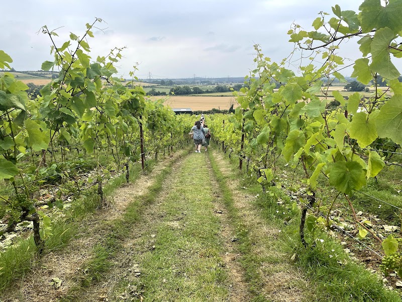 Sunnyhill Vineyard - Event Venue in Horspath, Oxfordshire