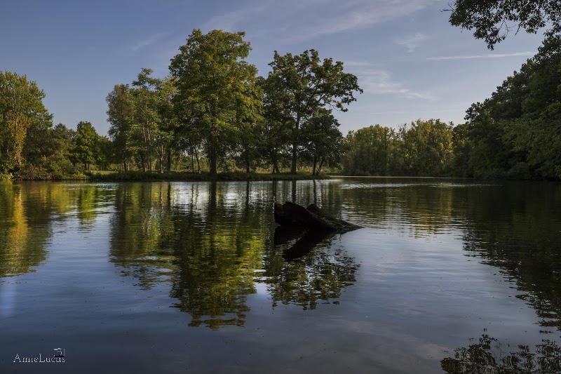 Woldumar Nature Center - Event Venue in Lansing, Michigan