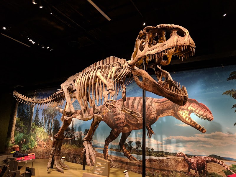 Denver Museum of Nature & Science - Event Venue in Denver, Colorado