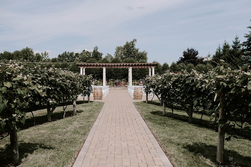 Birch Wood Vineyards - Event Venue in Derry, New Hampshire