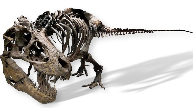 Earth Experience - Middle Tennessee Museum of Natural History - Event Venue in Murfreesboro, Tennessee