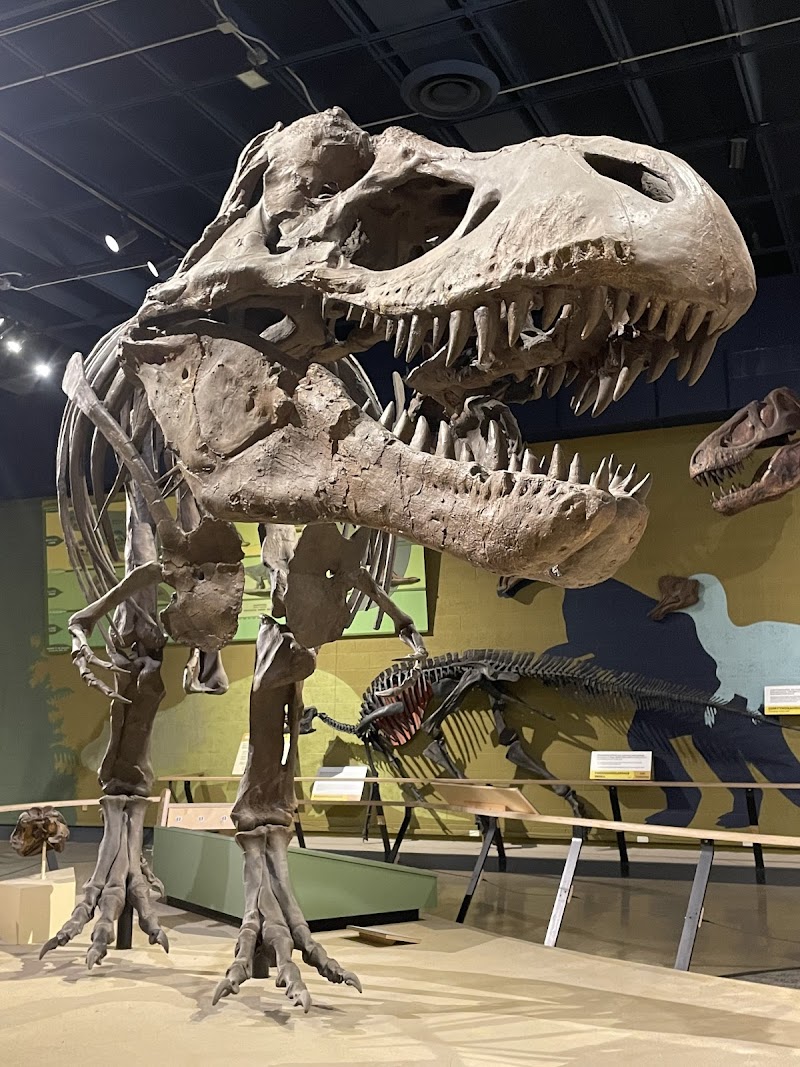 Cleveland Museum of Natural History - Event Venue in Cleveland, Ohio