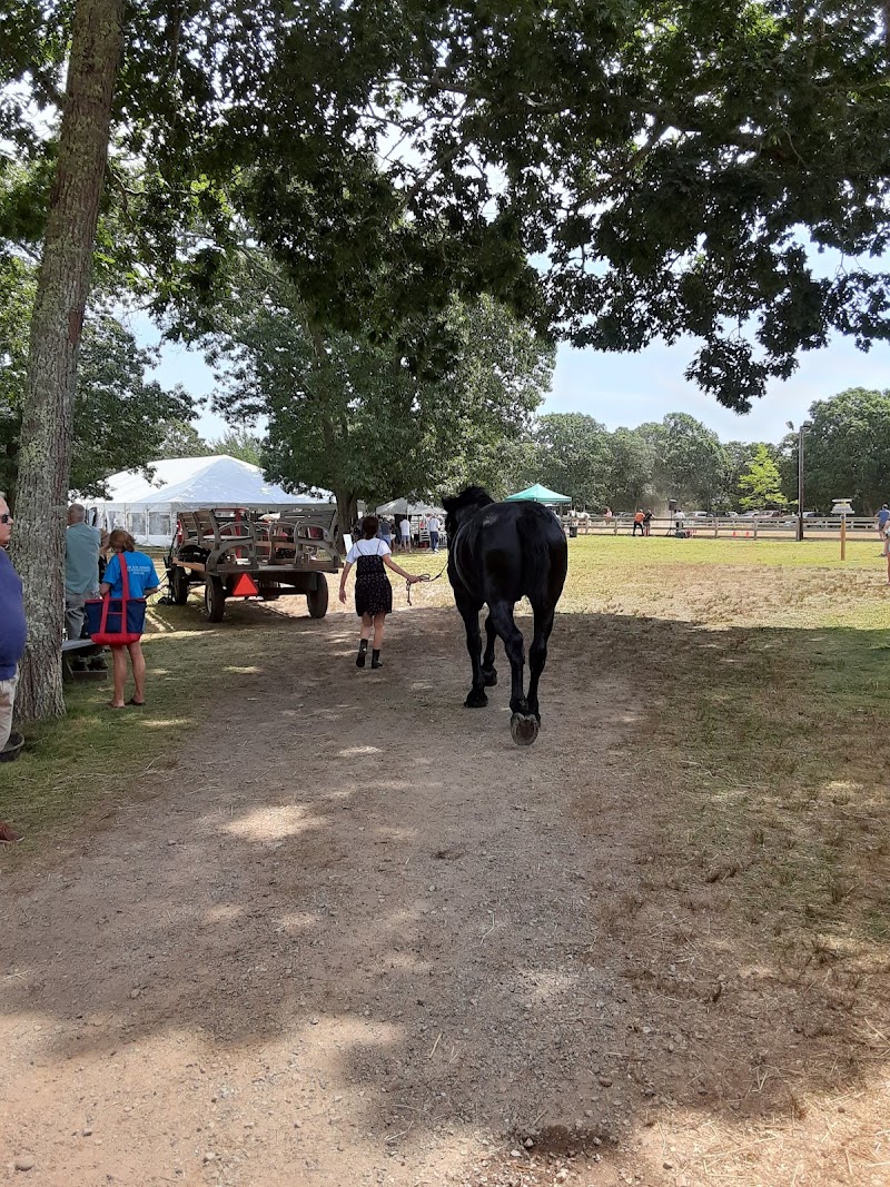 Martha's Vineyard Agricultural Society - Event Venue in West Tisbury, Massachusetts