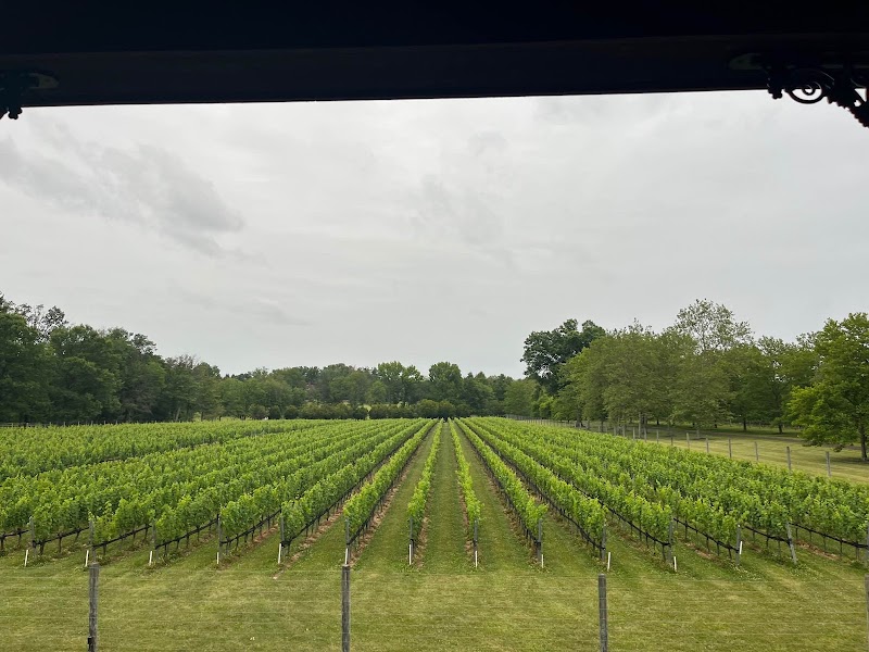Karamoor Estate Vineyard & Winery - Event Venue in Blue Bell, Pennsylvania
