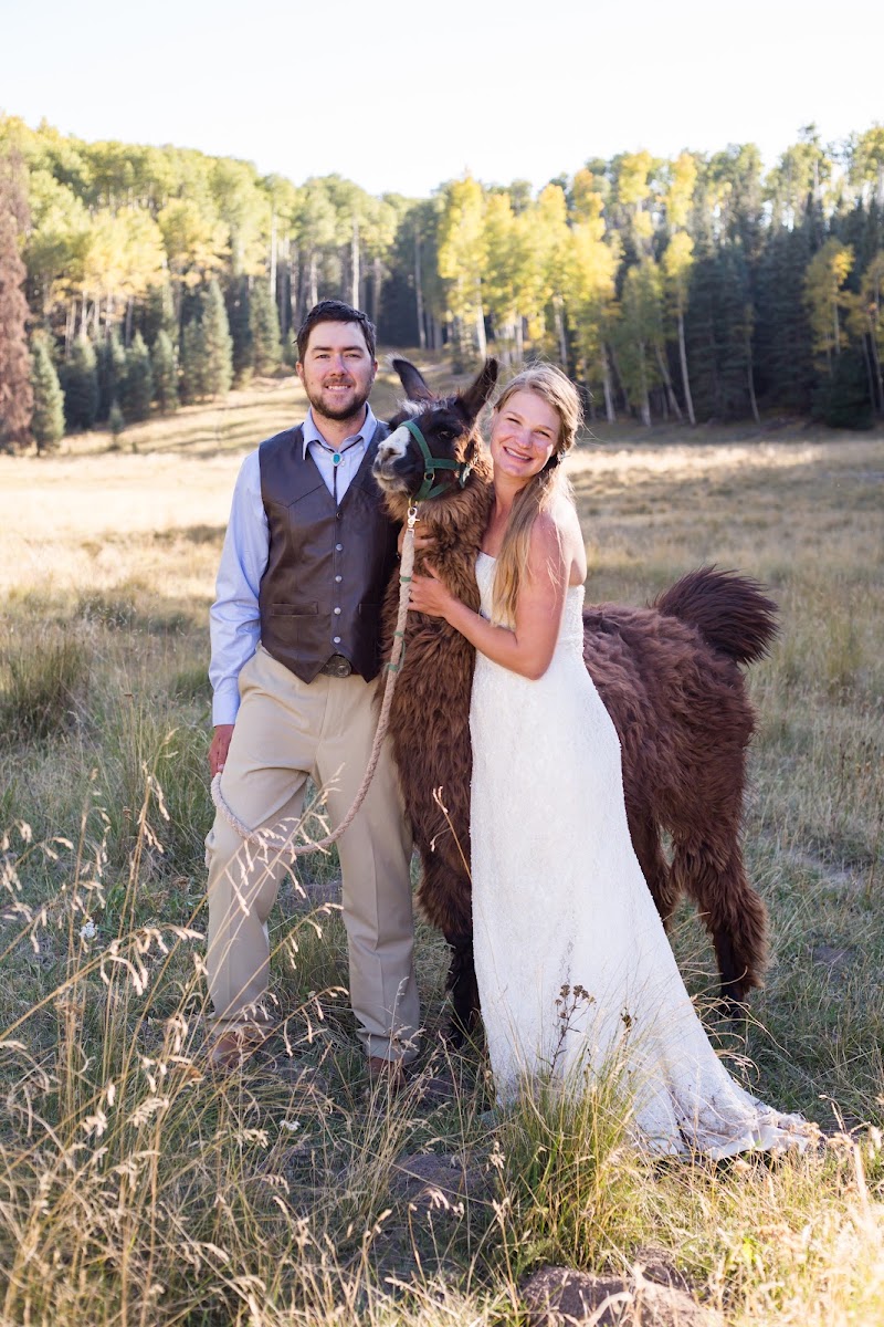 Pagosa Springs Weddings - Event Venue in Pagosa Springs, Colorado