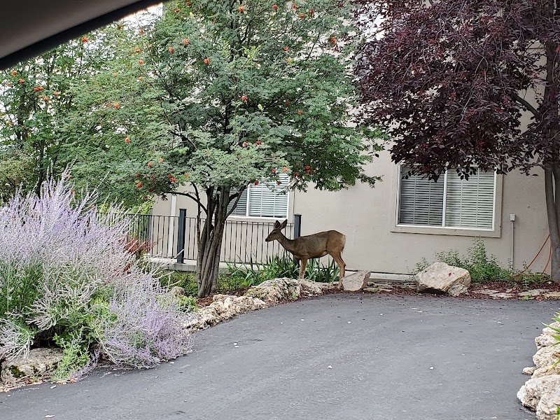 Hummingbird Springs Luxury Home - Event Venue in Midway, Utah