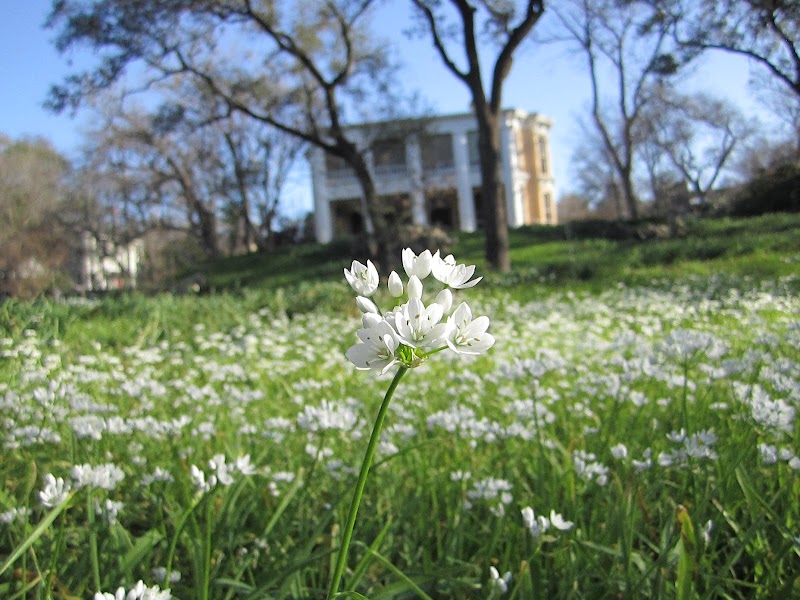 Flower Hill Center - Event Venue in Austin, Texas