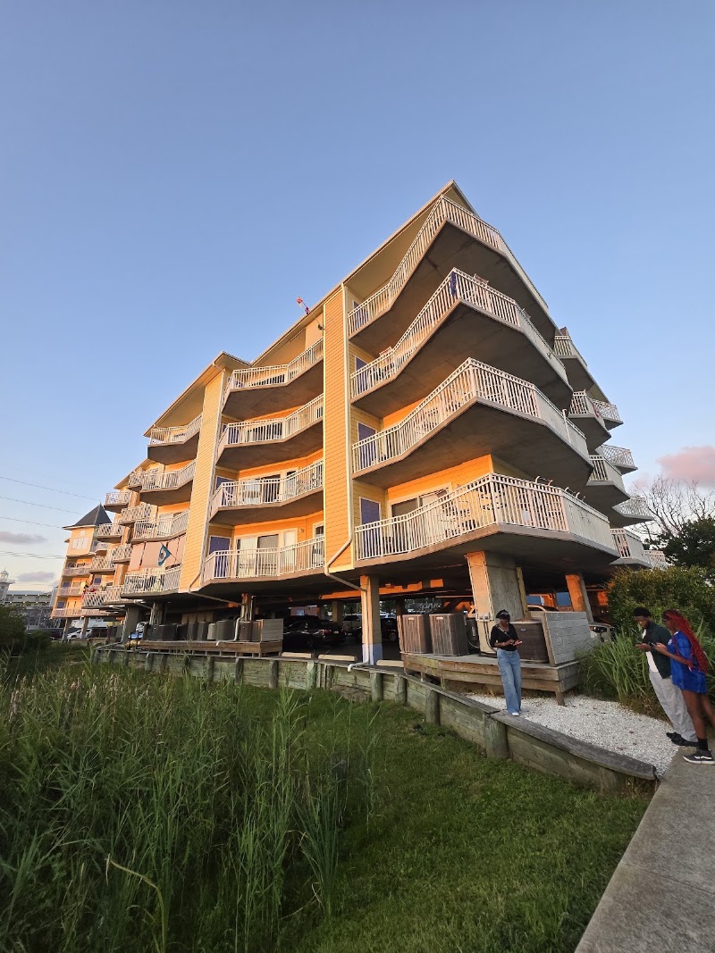 PLAYA FLAMINGO - Event Venue in Ocean City, Maryland
