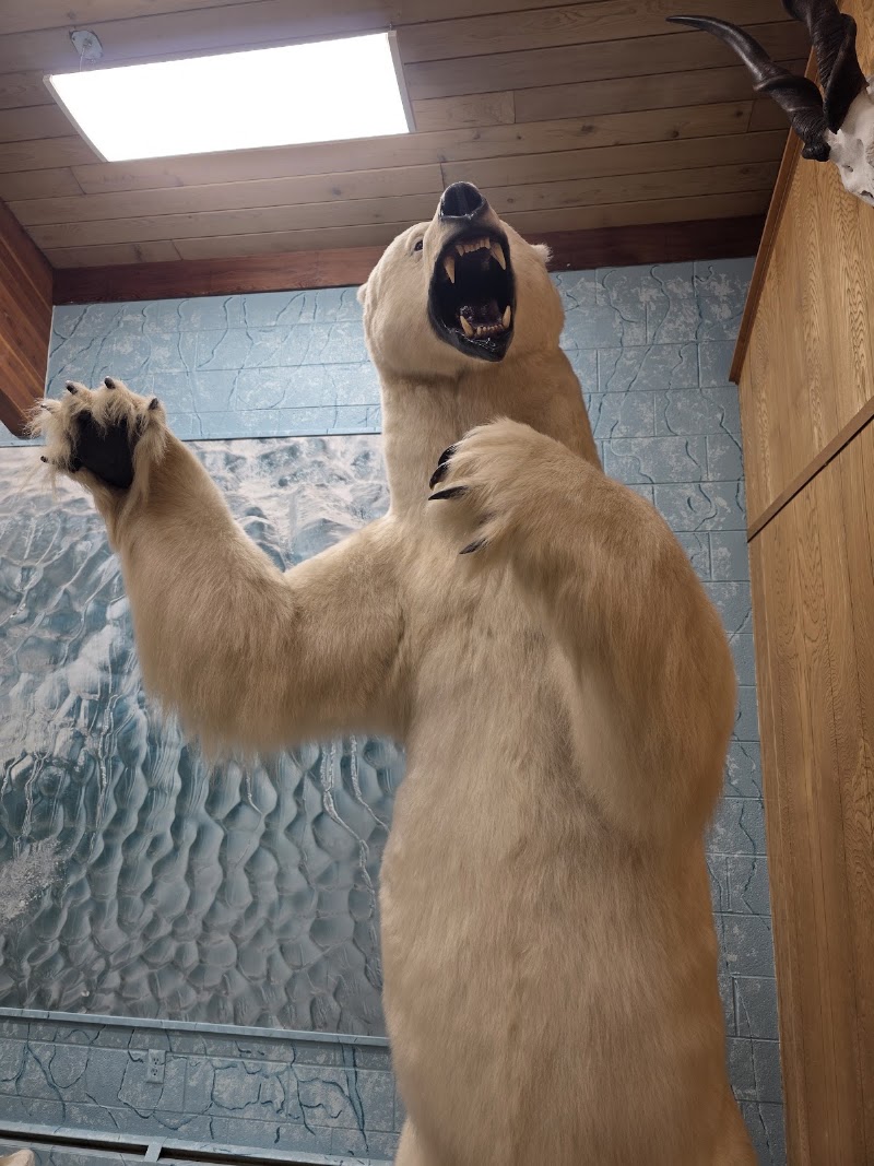 Werner Wildlife Museum at Casper College - Event Venue in Casper, Wyoming