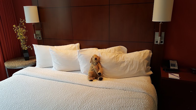 Residence Inn by Marriott Norfolk Downtown - Event Venue in Norfolk, Virginia