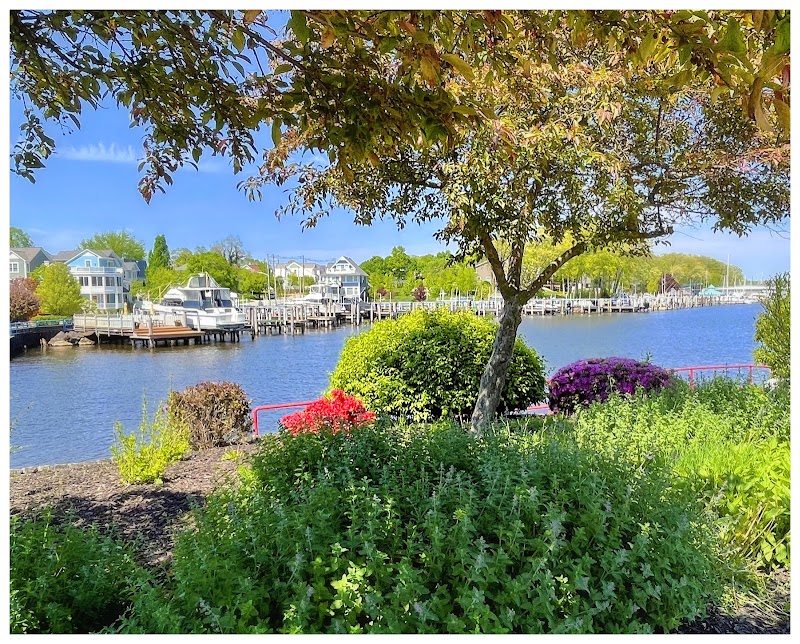 Riverfront Park/Summer Concerts - Event Venue in South Haven, Michigan