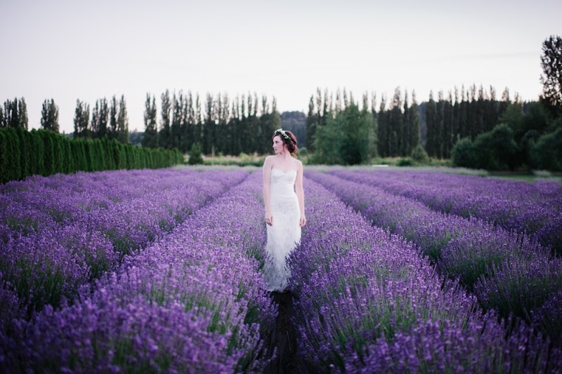 Woodinville Lavender - Event Venue in Redmond, Washington
