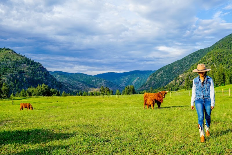Alberton Orchards Guest Ranch - Event Venue in Alberton, Montana