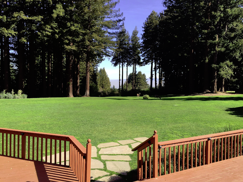 The Mountain Terrace - Event Venue in Woodside, California