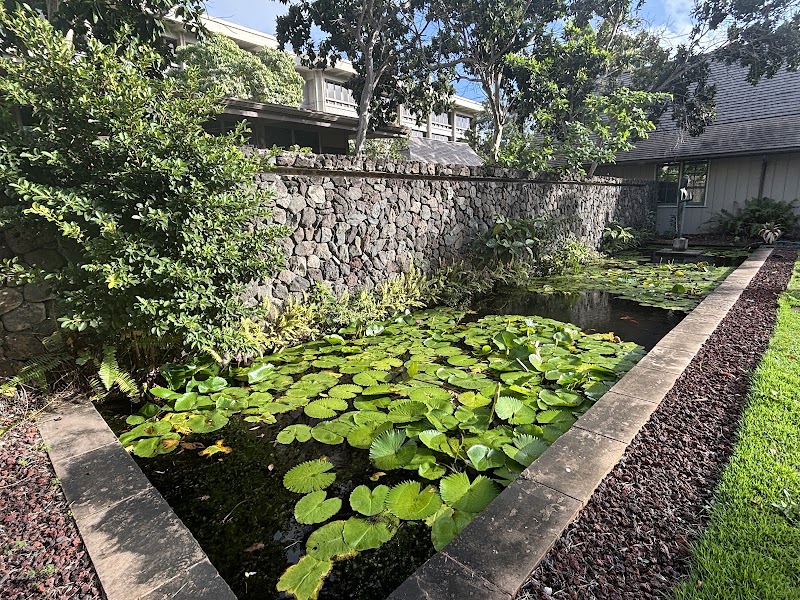 John Young Museum of Art - Event Venue in Honolulu, Hawaii