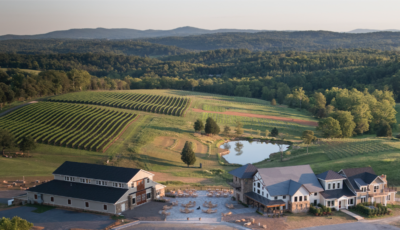 Stone Tower Winery - Event Venue in Leesburg, Virginia