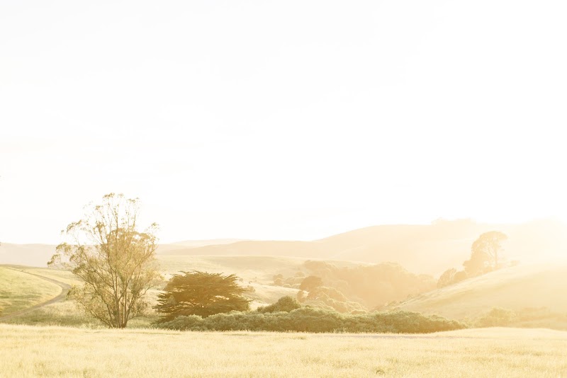 The Haven at Tomales - Event Venue in Tomales, California