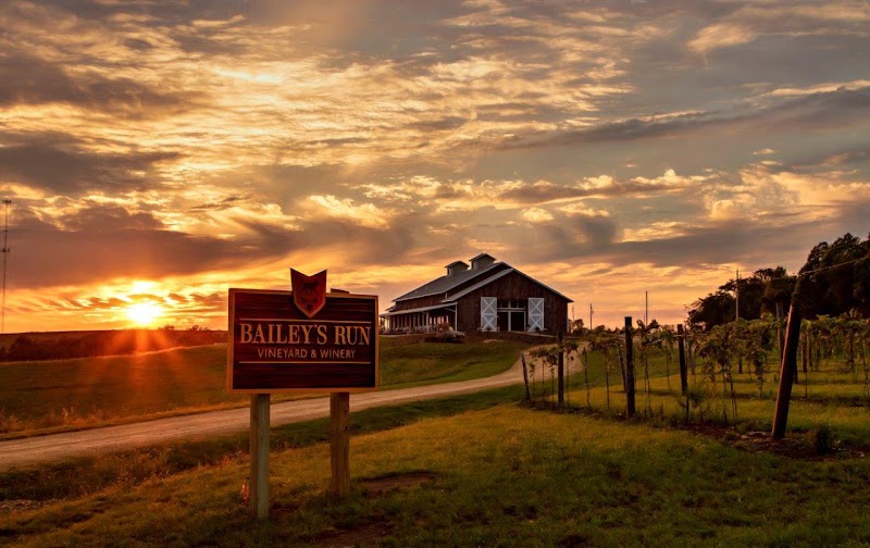 Bailey's Run Vineyard & Winery - Event Venue in New Glarus, Wisconsin