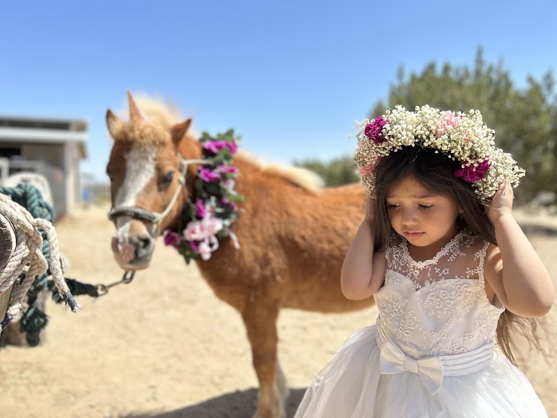 Wild Wind Ranch - Event Venue in Hesperia, California