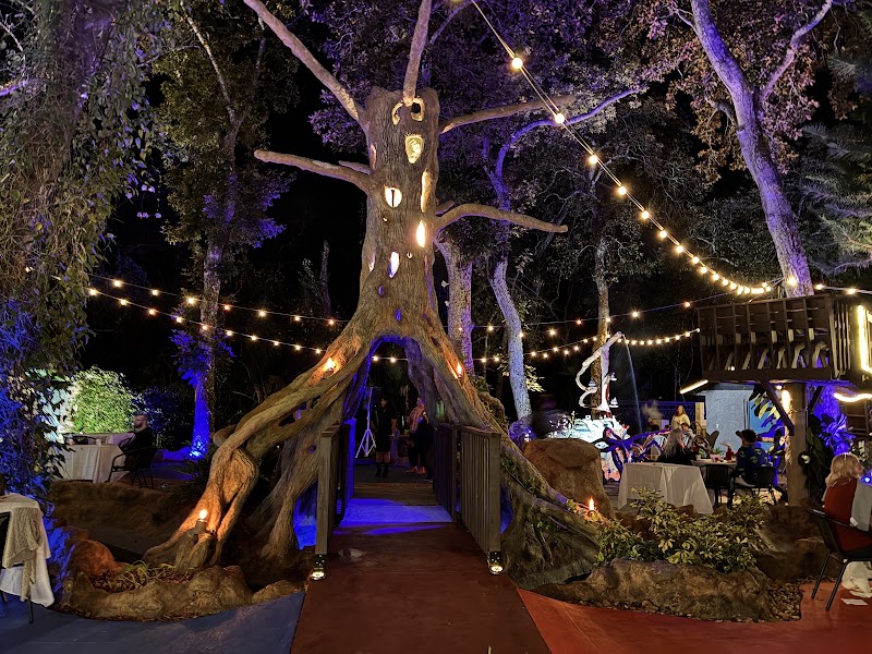 The Shape of Water Weddings & Events - Event Venue in Palm Coast, Florida