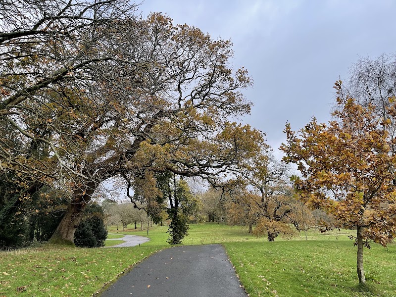 Parc Singleton Park - Event Venue in Sketty, Swansea