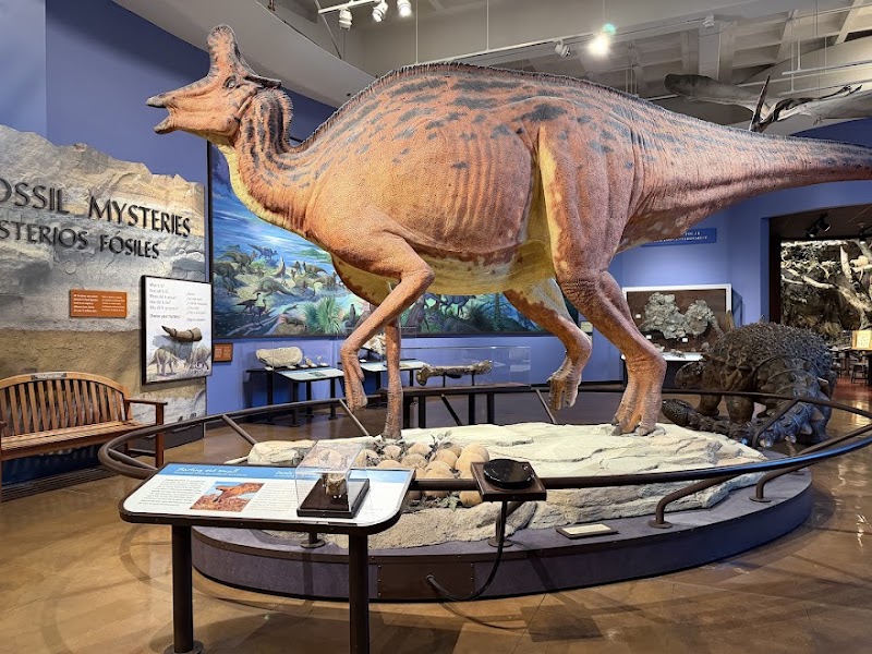 San Diego Natural History Museum - Event Venue in San Diego, California