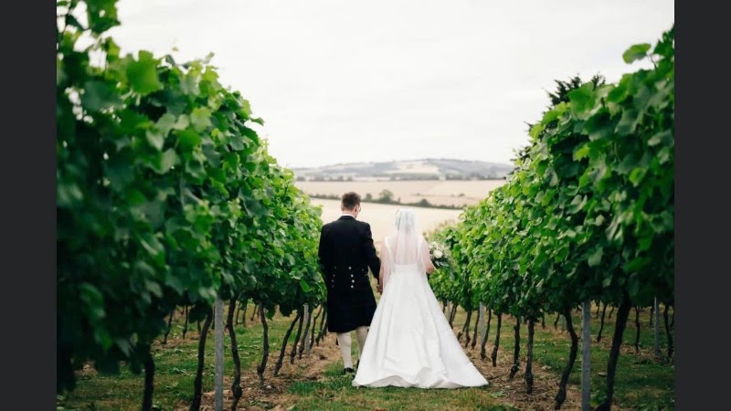 Poppydown Vineyard Wedding and Events Barn - Event Venue in Droxford, Hampshire