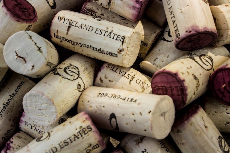 Harmony Wynelands Winery and Tasting Room - Event Venue in Lodi, California